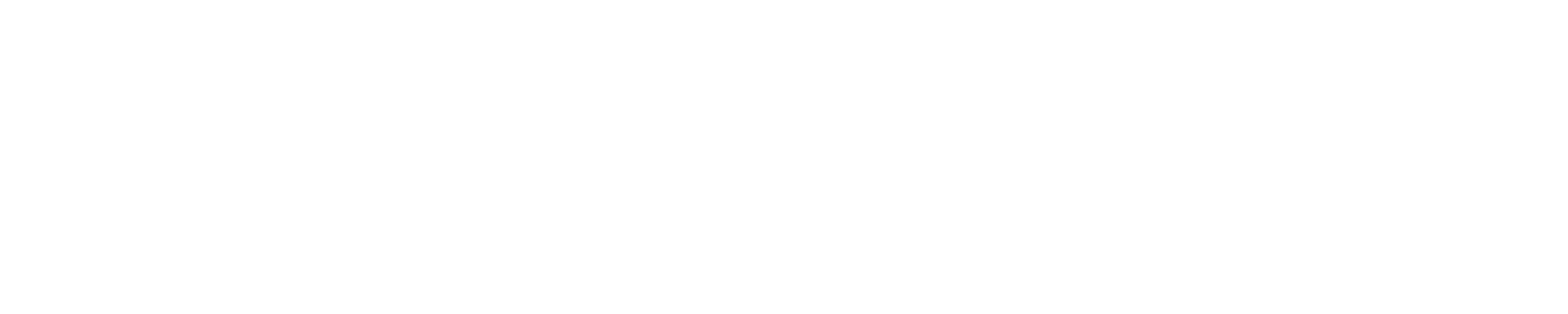 CINSET